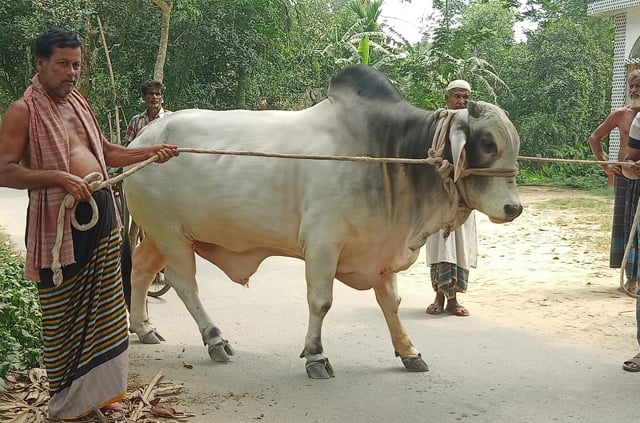 Farmer couple’s true love for PM