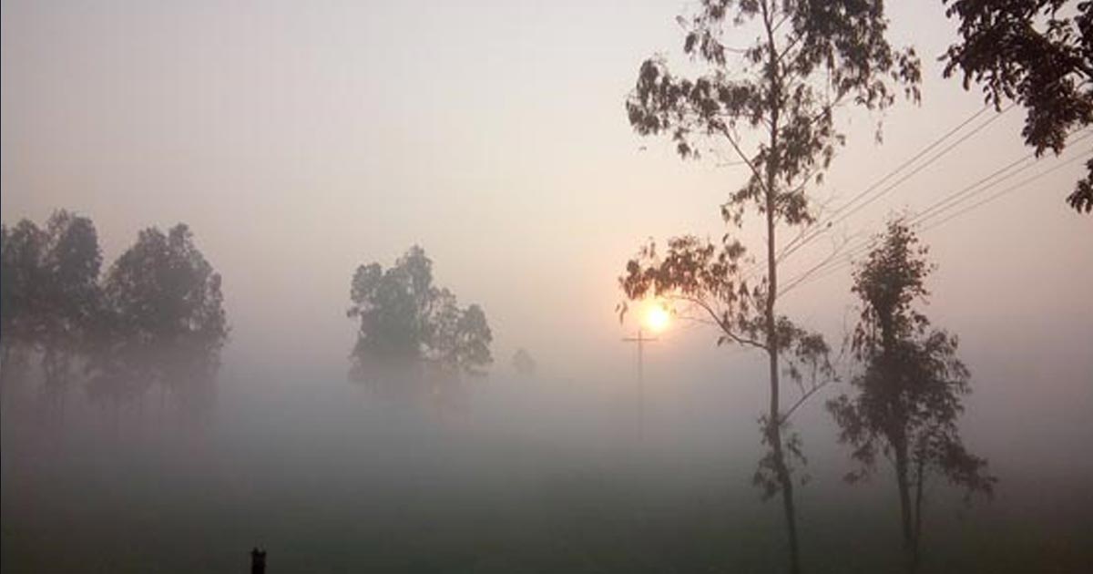 দরজায় কড়া নাড়ছে শীতের আমেজ