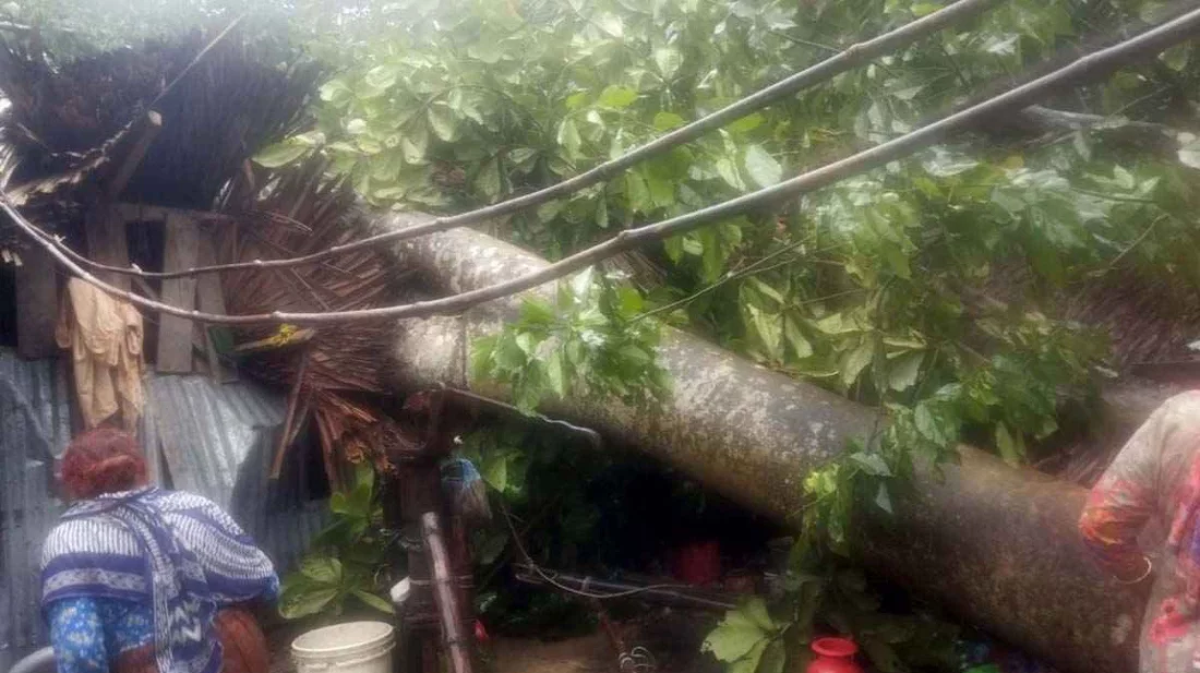 ঝড়ে সাতজনের মৃত্যু, ফসলের ব্যাপক ক্ষতি টেকনাফে বসতঘরের মাটির দেয়াল ধসে একই পরিবারের চারজনের মৃত্যু।  গাছের ডাল ভেঙে পড়ে চট্টগ্রামে দুজন ও টাঙ্গাইলে একজনের মৃত্যু।
