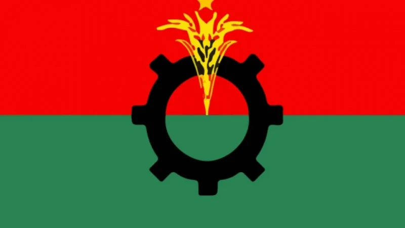 প্রত্যাশিত সাফল্য পায়নি বিএনপি