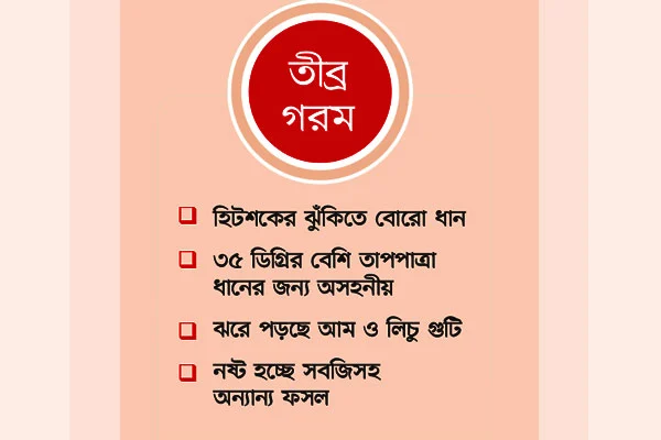 মাঠের ফসল নিয়ে মহাদুশ্চিন্তা