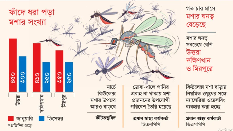 মশায় অতিষ্ঠ ঢাকাবাসী