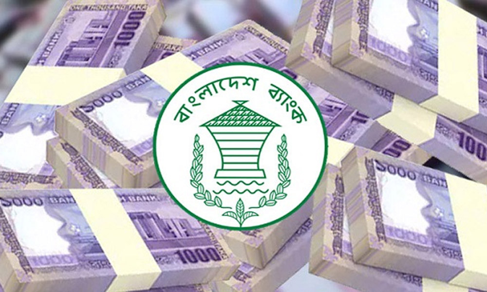 গ্রাহকের টাকা দিতে ব্যর্থ ২০ আর্থিক প্রতিষ্ঠানের কী হবে?