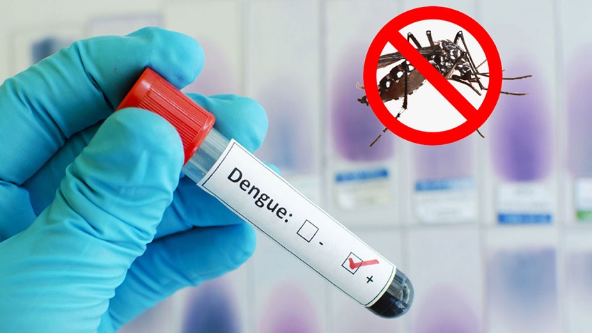 One dengue patient dies, 249 hospitalised in last 24hrs