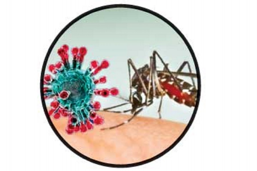 394 dengue, 21 Covid cases reported in 24 hours