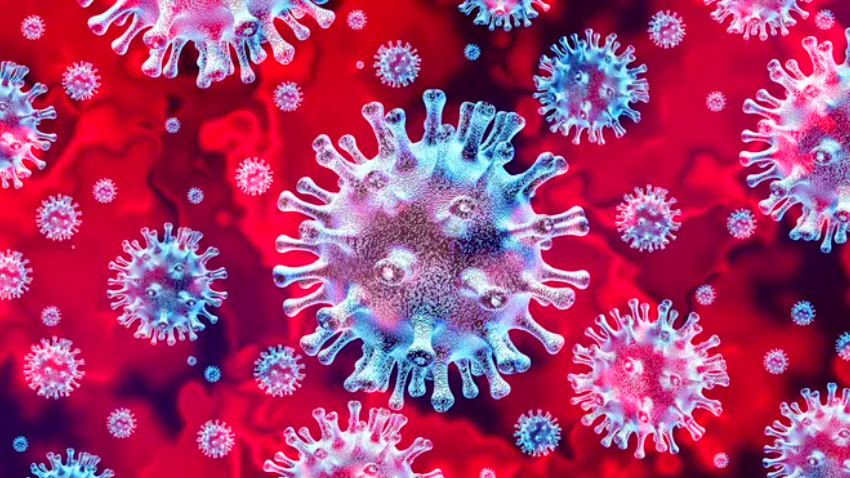 One more die of COVID, 8 new cases reported