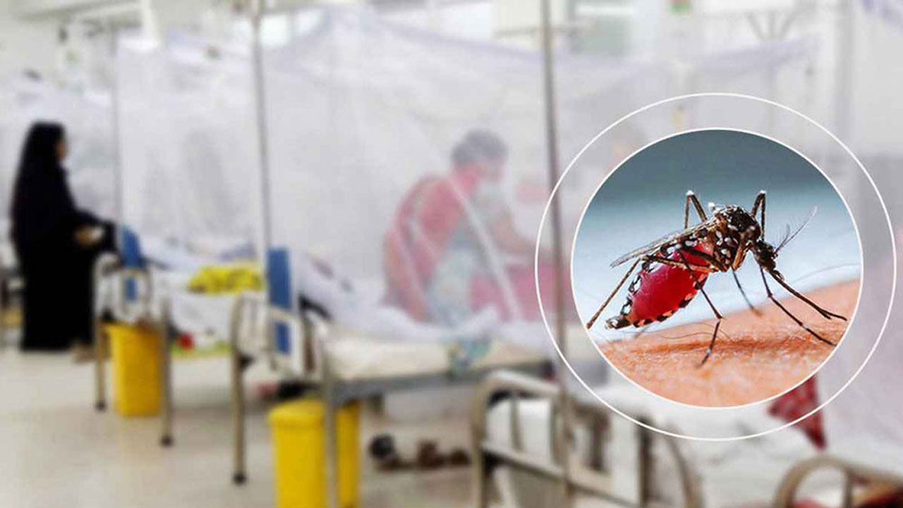 ডেঙ্গু আক্রান্তের সংখ্যা বৃদ্ধি, একদিনে মৃত্যু ২ জন