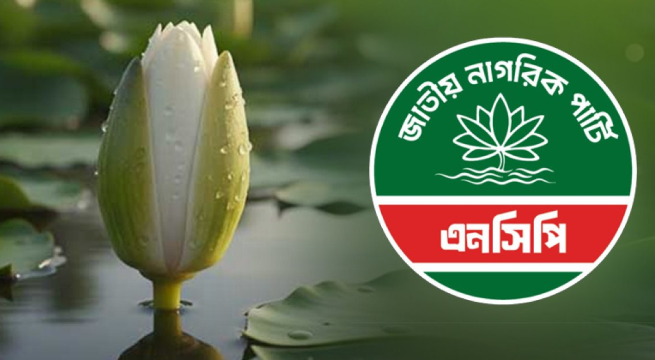 এনসিপি এক হাজার ১১টি মনোনয়ন ফরম বিক্রি, আবেদন সংগ্রহের সময়সীমা বাড়ানো