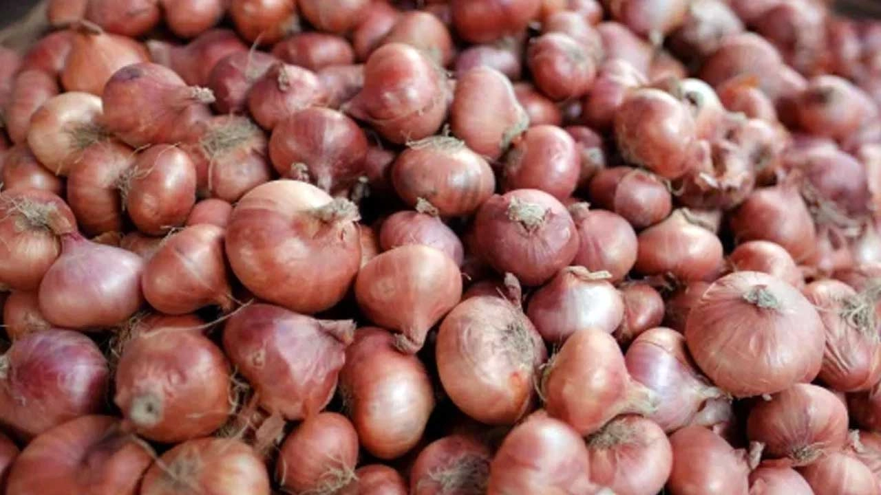 পেঁয়াজ আমদানি স্থগিত, দেশের বাজারে দাম বাড়ার সম্ভাবনা