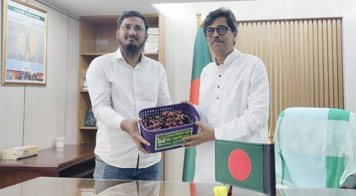 সীডলেস আঙ্গুর চাষে চুয়াডাঙ্গার উদ্যোক্তার নতুন দৃষ্টান্ত