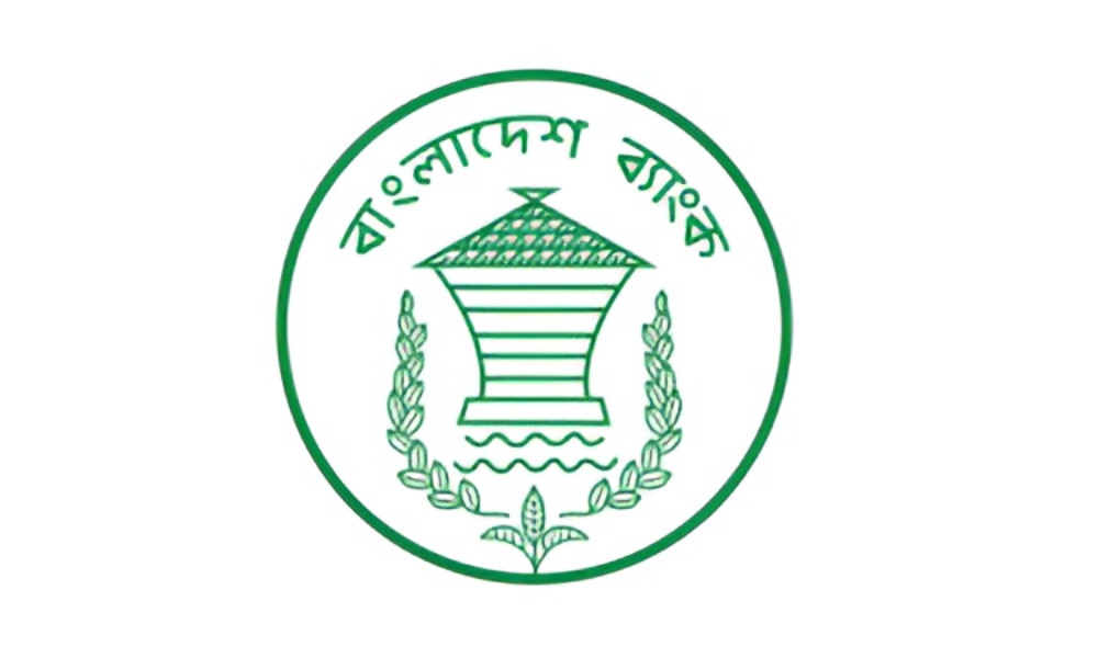অননুমোদিত ৩১ ঋণদাতা অ্যাপ ও ডিজিটাল প্ল্যাটফর্ম নিয়ে বিএফআইইউর কঠোর সতর্কতা