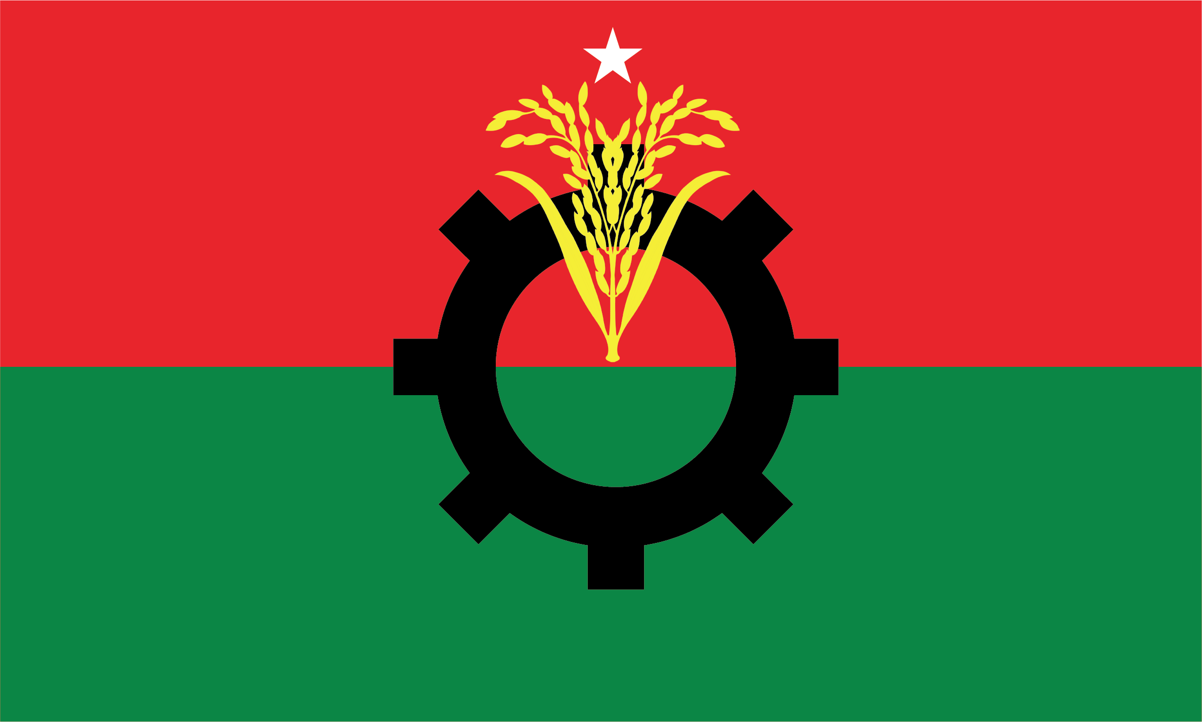 রাষ্ট্রপতি পদে নির্বাচনের জন্য দুটি মনোনয়নপত্র সংগ্রহ করেছে বিএনপি