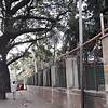 প্রধানমন্ত্রীর পা পড়ার পর আগারগাঁওয়ের হাসপাতালগুলোয় ‘তৎপরতা বেড়েছে’