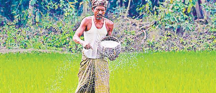 সারের বস্তা থেকে ‘গুপ্ত’র সতর্কবার্তা