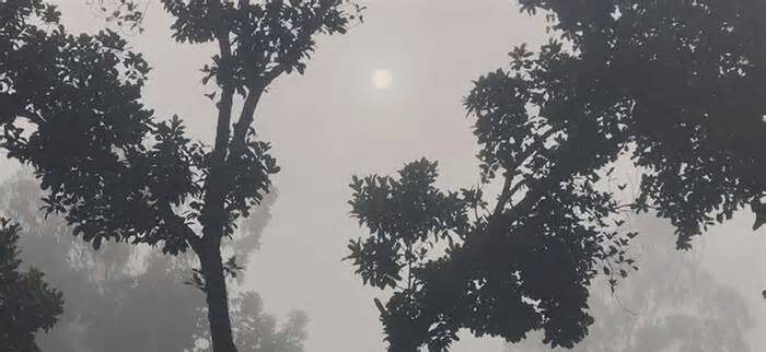 ১৭ ডিগ্রিতে নামল পঞ্চগড়ের তাপমাত্রা, বাড়ছে শীতের অনুভূতি